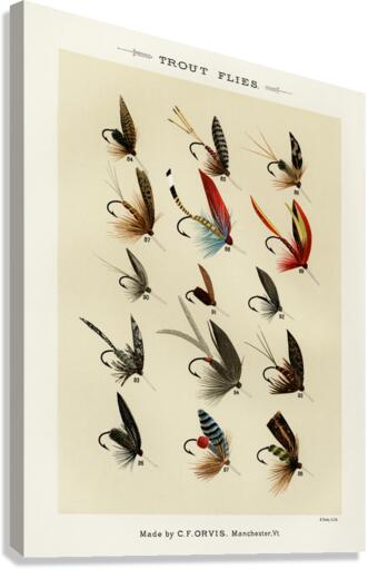 Trout Flies  Canvas Print