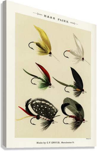 Bass Flies  Canvas Print