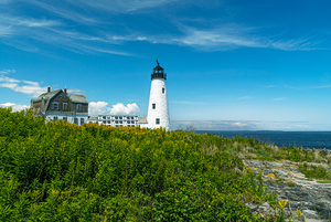 Wood Island Lighthouse Surrounded by Wildflowers in Maine 