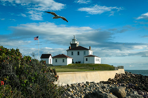 Seagull Flies Near Watch Hill Lighthouse in Rhode Island
