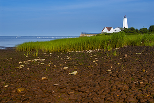 Low Tide at Rocky Shore by Lynde Point Lighthouse in Connecticut