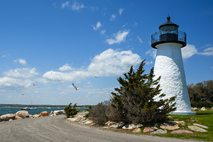 Seagulls Flying From Neds Point Lighthouse in Park in Massachusetts