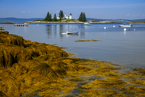 Pumpkin Island Lighthouse at Low Tide in Maine