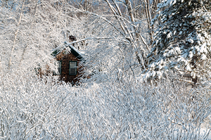 Wood Shingled House Surrounded by Morning Snow in Maine