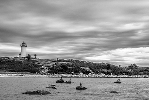 Storm Clouds Over Tarpaulin Cove Light Among Seabirds - B&W