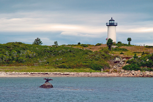 Cormorant Dries its Wings in Front of Tarpaulin Cove Light in Massachusetts