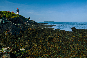 West Quoddy Head Light at Low Tide in Downeast Maine