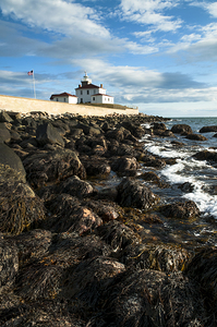 Seaweed Covered Rocky Shore at Watch Hill Light At Low Tide in Rhode Island