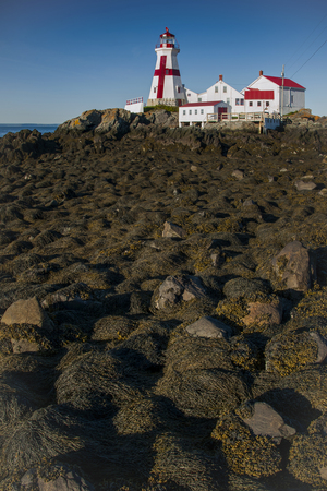 Head Harbor Lighthouse Surrounded by Rocks Covered in Seaweed at Low tide