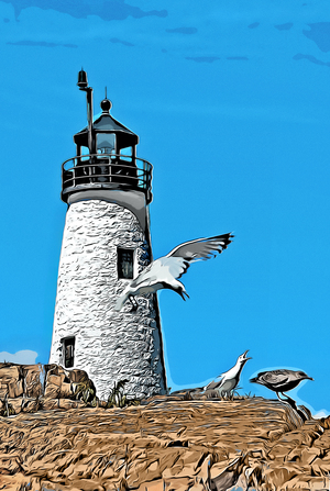 Wood Island Light is a Nesting Area for Seabirds in Maine - Illus.