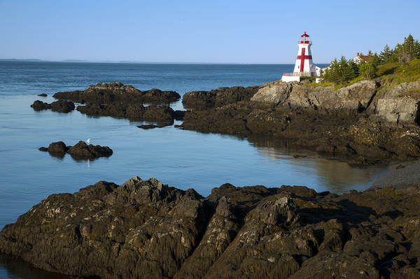 Low Tide by Rocky Shore of Head Harbor Lighthouse Over the Canadian Border  Print