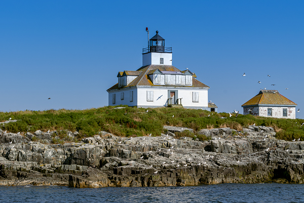 Egg Rock Light is Part of a Protected Seabird Nesting Sanctuary in Maine Print