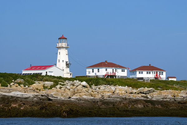 Canadian Border Lighthouse Machias Seal Island Has Two Active Keepers Buildings  Print