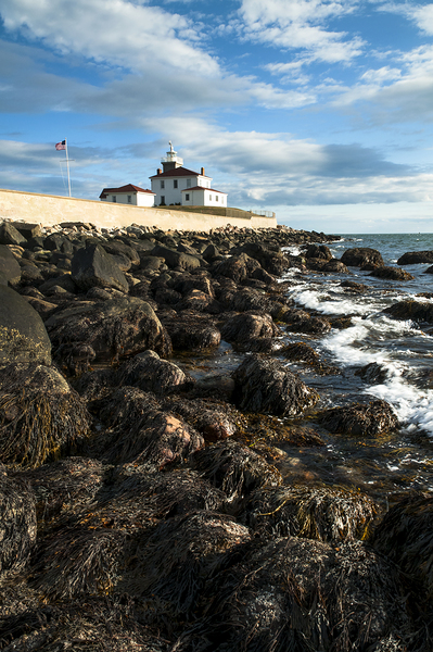 Seaweed Covered Rocky Shore at Watch Hill Light At Low Tide in Rhode Island Print