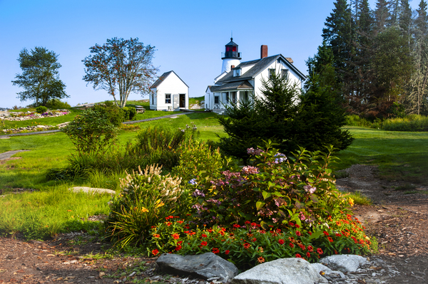 Wildflowers Garden by Burnt Island Lighthouse in Maine Print