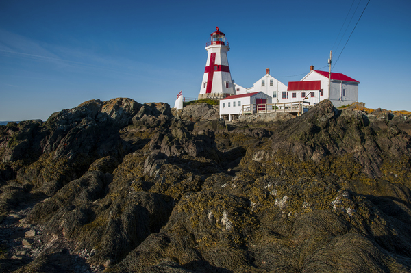 Low Tide Displays Rocky Shore at Head Harbor Lighthouse on Campobello Island in Canada  Print
