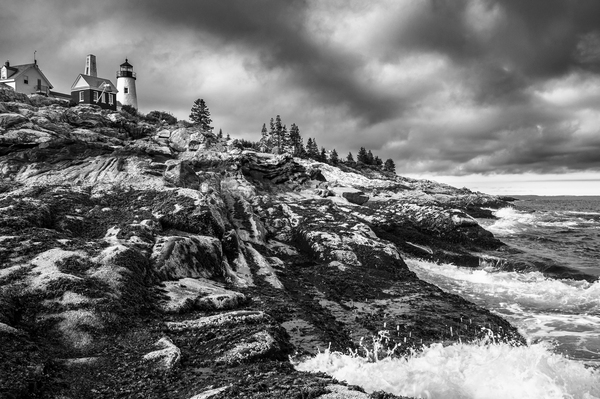 Rocky Shoreline by Pemaquid Lighthouse at Low Tide in Maine - B&W Print