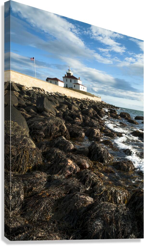 Seaweed Covered Rocky Shore at Watch Hill Light At Low Tide in Rhode Island Canvas Print