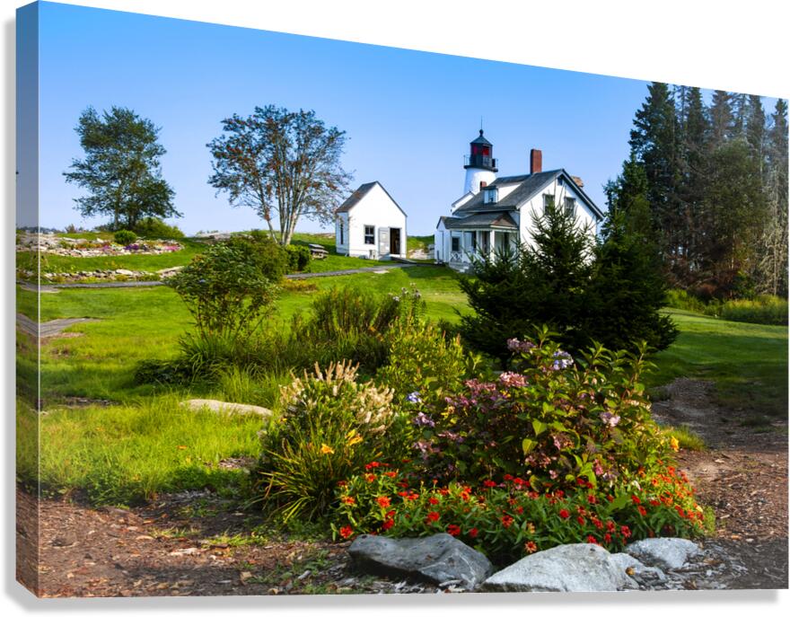 Wildflowers Garden by Burnt Island Lighthouse in Maine Canvas Print