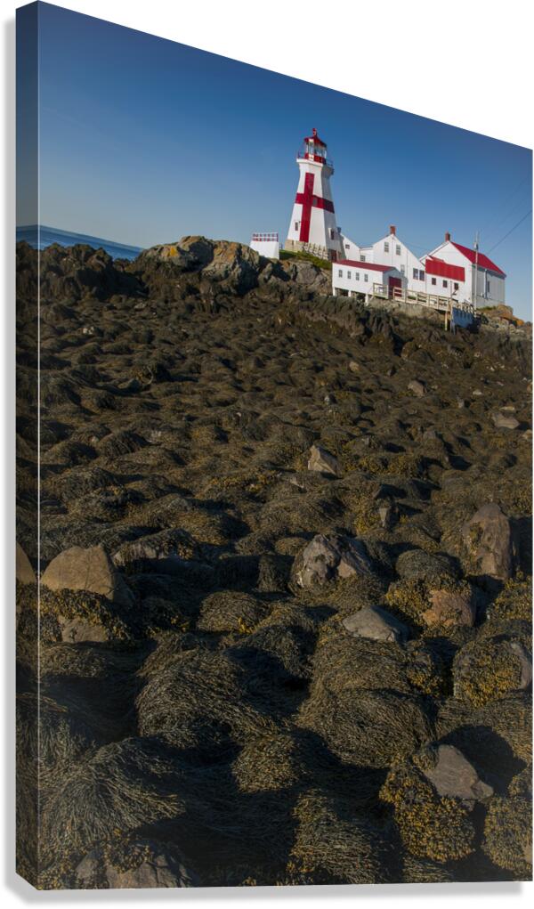 Head Harbor Lighthouse Surrounded by Rocks Covered in Seaweed at Low tide  Canvas Print
