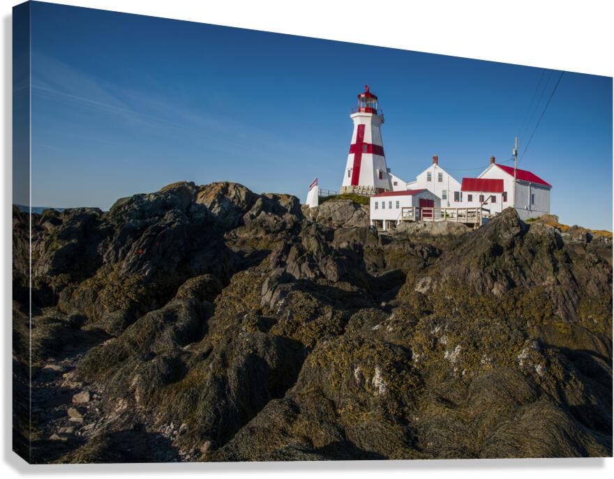 Low Tide Displays Rocky Shore at Head Harbor Lighthouse on Campobello Island in Canada  Canvas Print