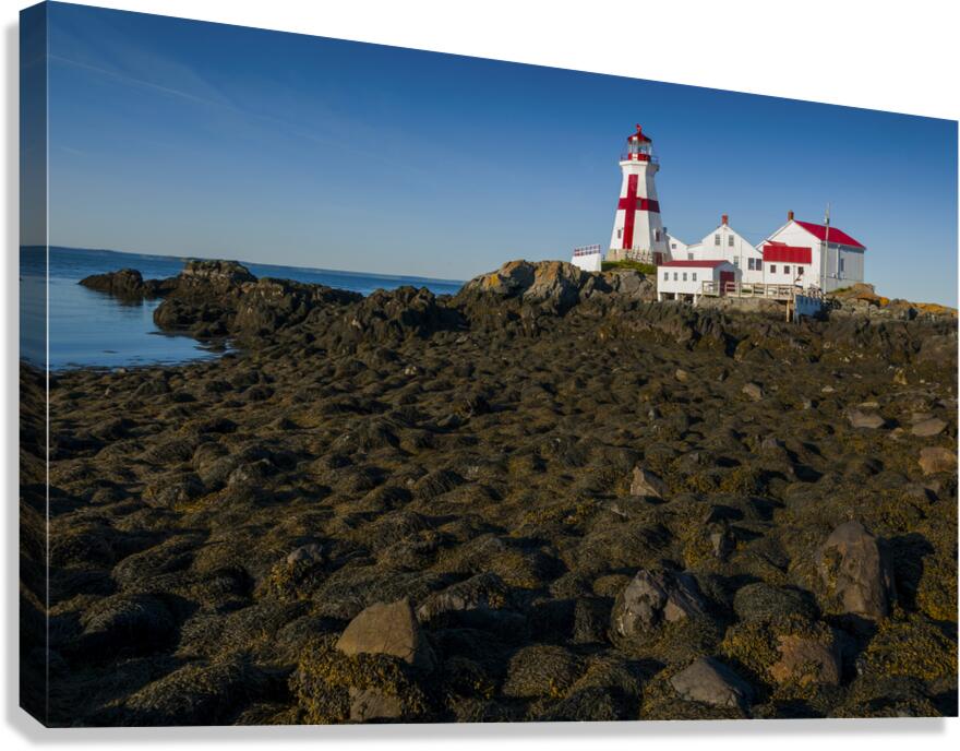 Head Harbor Lighthouse in Canada with the Lowest Tides on the East Coast  Canvas Print