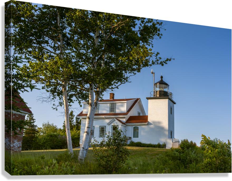 Birch Trees by Fort Point Lighthouse in Midcoast Maine Canvas Print