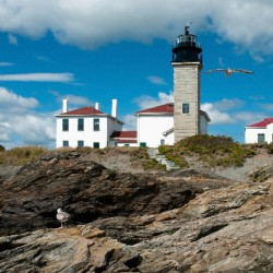 Seagull Flies by Beavertail Lighthouse in Rhode Island