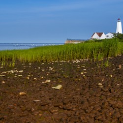 Low Tide at Rocky Shore by Lynde Point Lighthouse in Connecticut