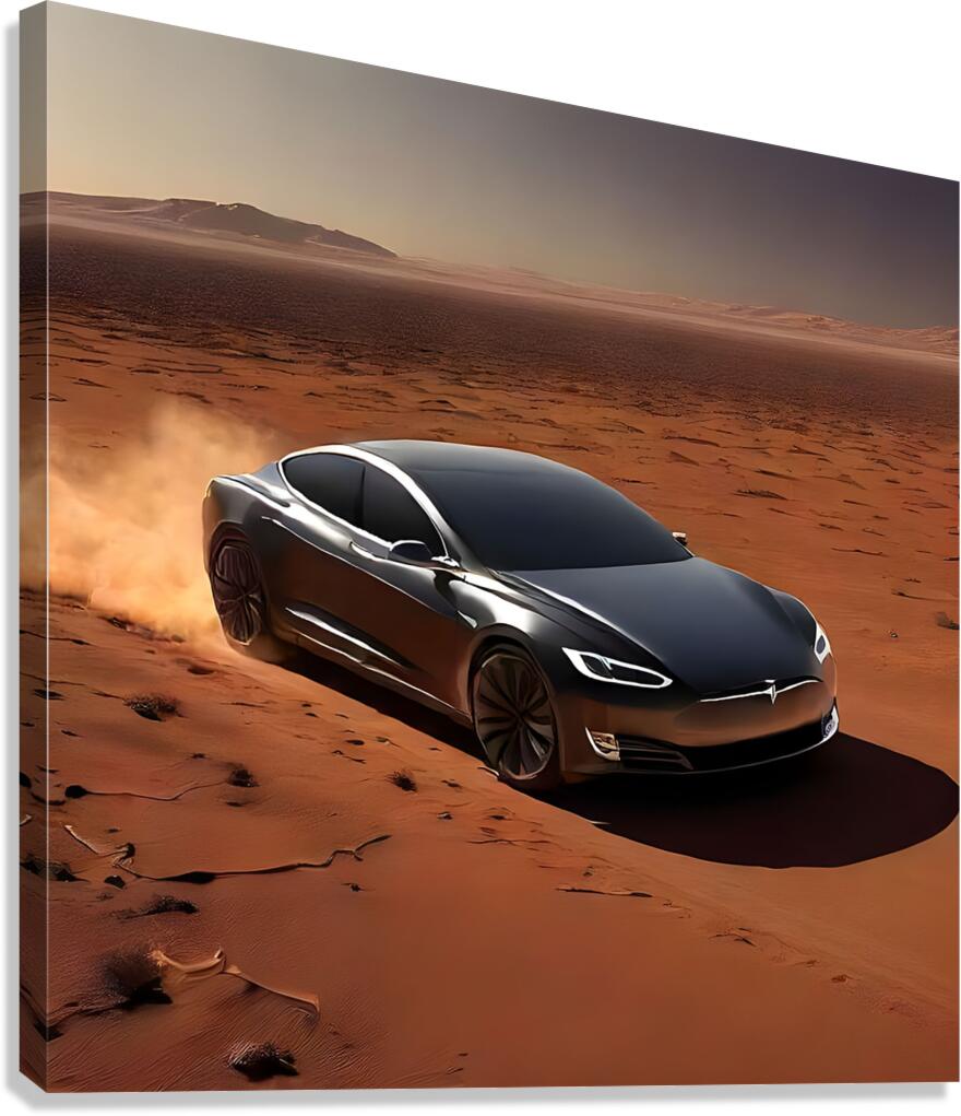 car2 Canvas Print