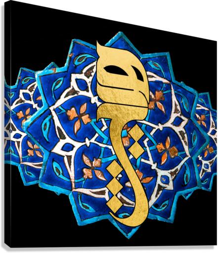 Hich 01 Canvas Print