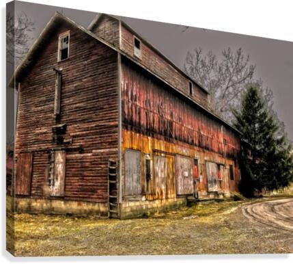 Steadfast Canvas Print
