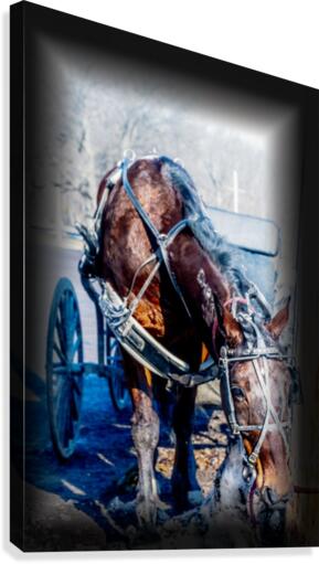 Work Break Canvas Print
