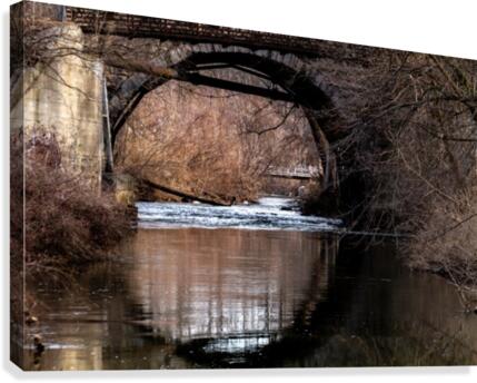 Spring Begins Canvas Print