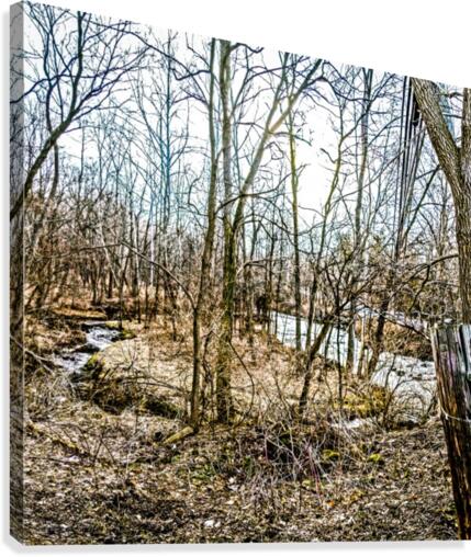 Forest pano Canvas Print