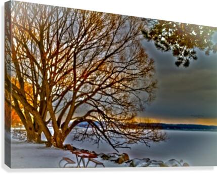 Frozen Light Canvas Print