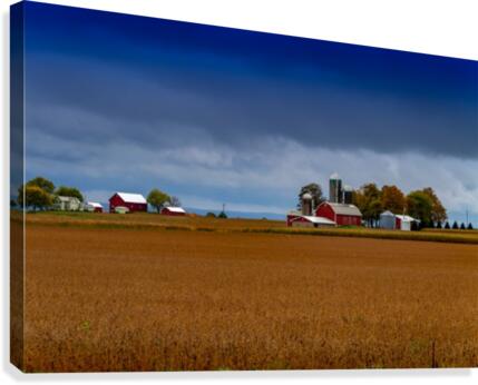 The Farm Canvas Print