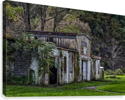 Cascade Mills Canvas Print
