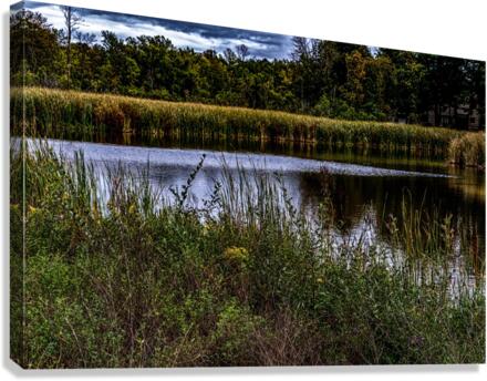 The Pond  Canvas Print