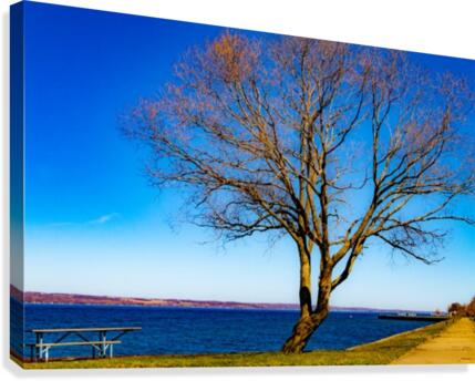 Seneca Springtime Canvas Print
