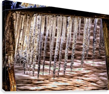just hanging Canvas Print