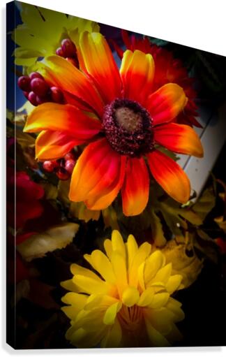 fall flowers 2 Canvas Print