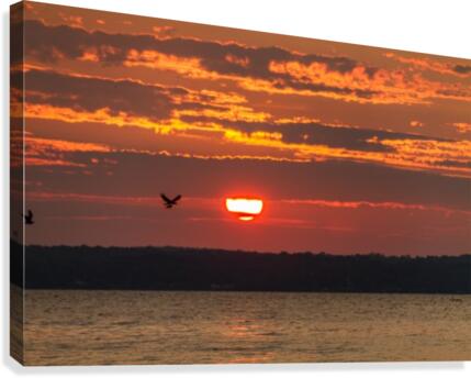 Breakfast Delivery Canvas Print