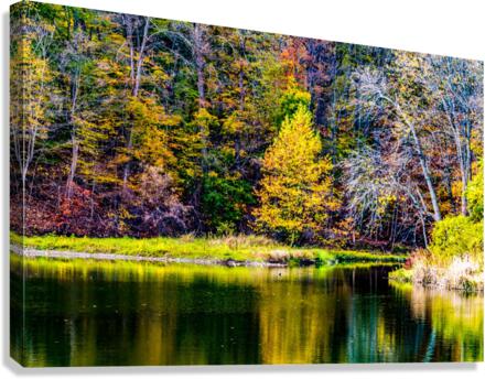 Peace Canvas Print