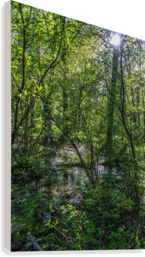 Lock 33 Park Canvas Print