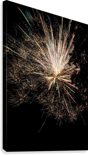 Fireworks 4 Canvas Print