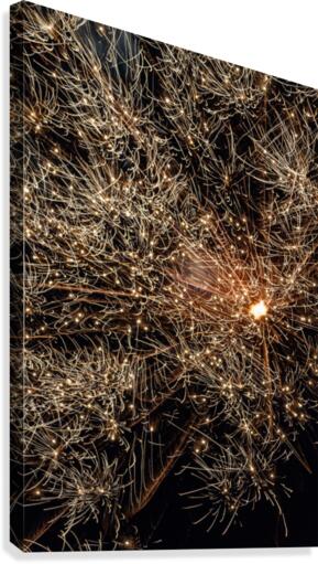 Fireworks 2 Canvas Print