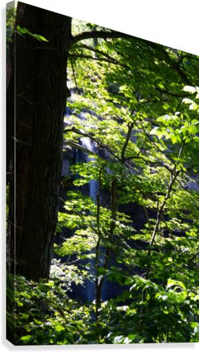 Carpenter Falls Canvas Print