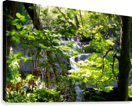 Carpenter Falls 2 Canvas Print
