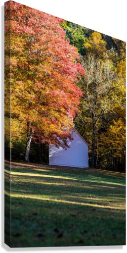 Church 2 Canvas Print